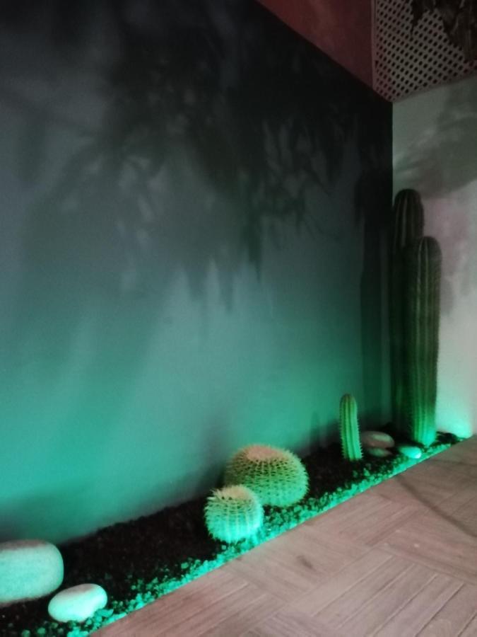 Villa Casa Guadalupe Y Roque Santa Cruz de Tenerife Esterno foto
