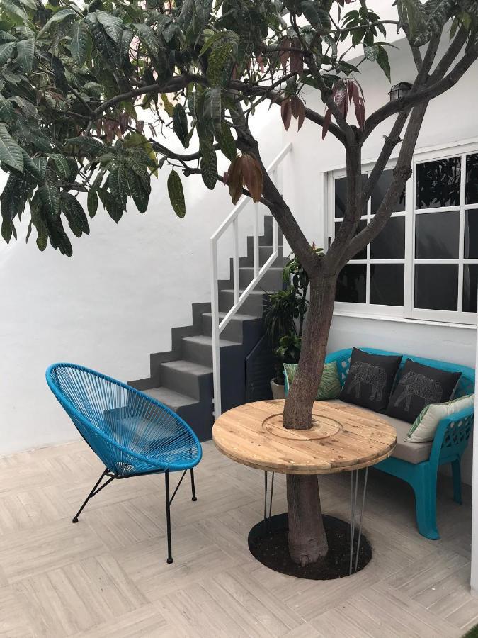 Villa Casa Guadalupe Y Roque Santa Cruz de Tenerife Esterno foto